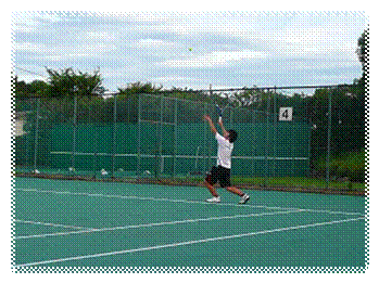 P1000639.jpg