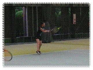 P1000827.jpg